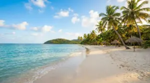 Spiaggia tropicale tranquilla con palme, mare turchese e ombrelloni in paglia, ideale per vacanze con mare caldo